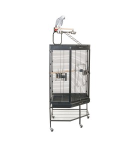 Amazon parrot cage for sale hotsell
